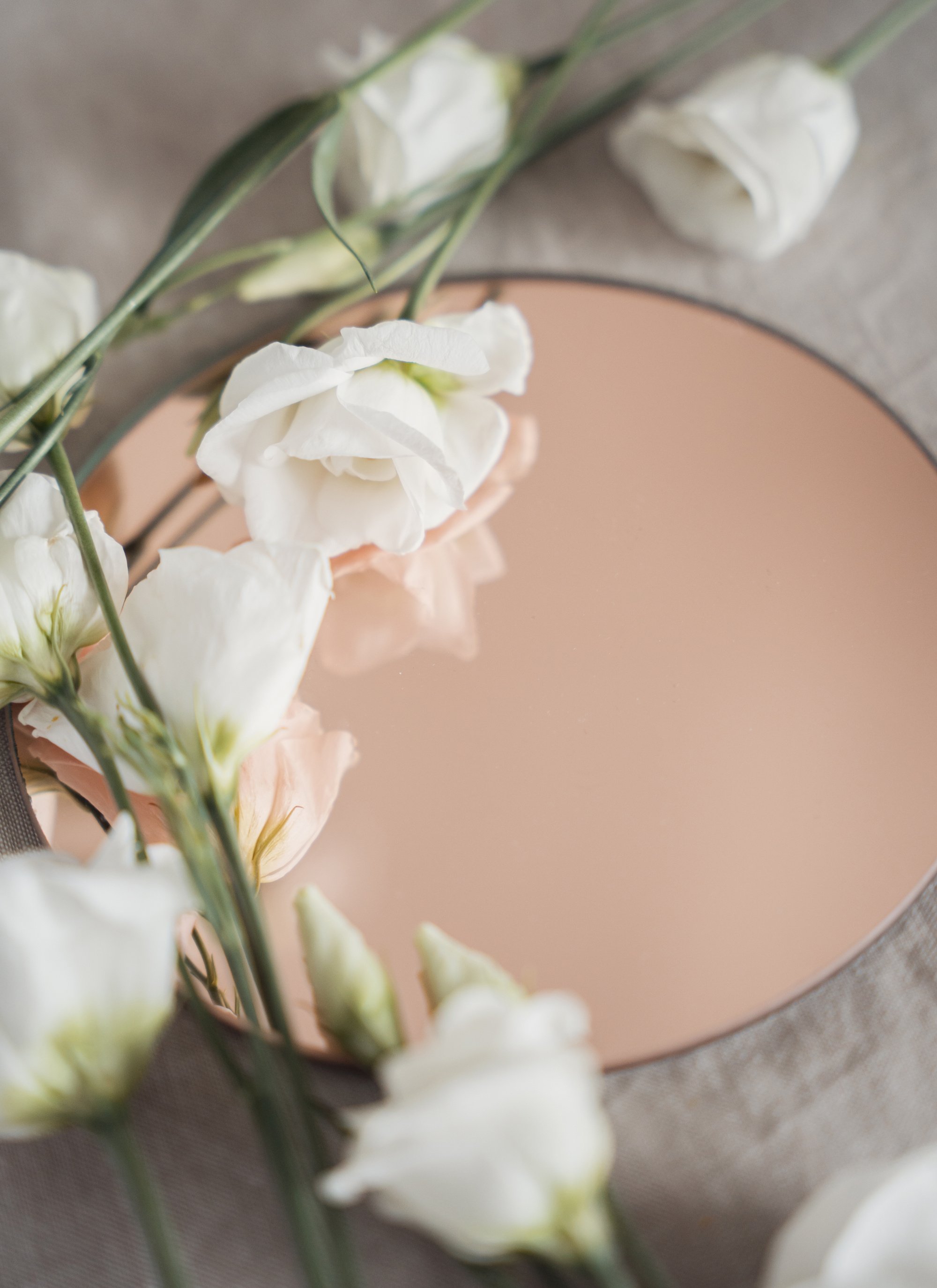 White spring flowers on beige mirror, abstract spring aesthetic background, copy space